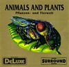 Animals And Plants